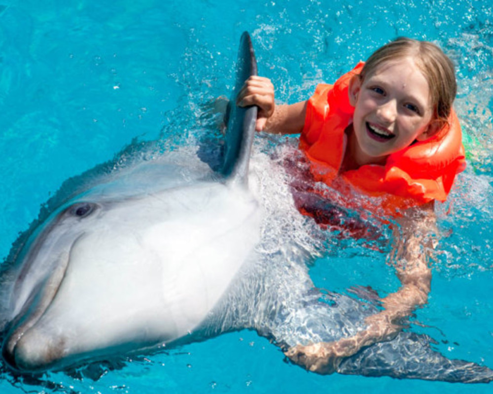 Sataya Dolphin Reef Snorkeling Trip with Lunch