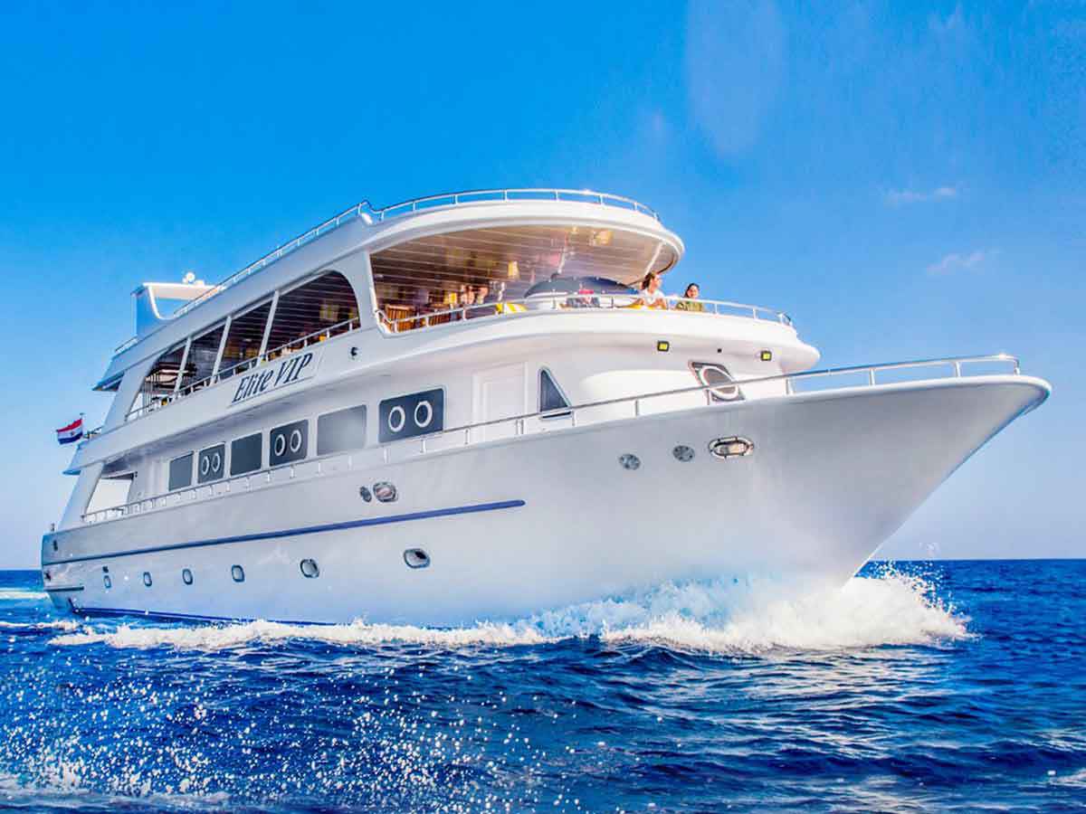 Elite VIP Cruise to Ras Mohammed & white island