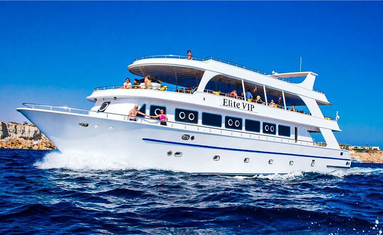 Elite vip Turtle bay snorkeling with BBQ Lunch