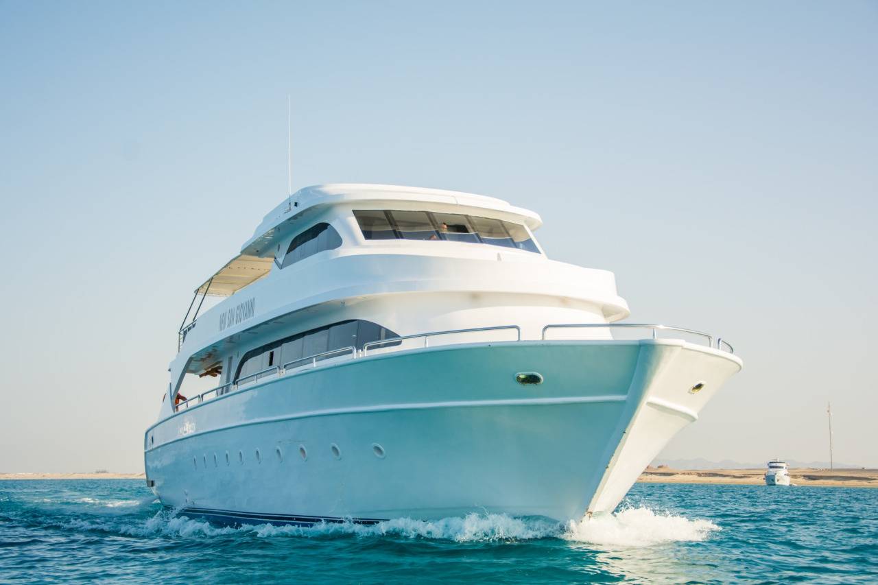 PRIVATE BOAT TRIP TO SATAYA DOLPHIN REEF FROM MARSA ALAM