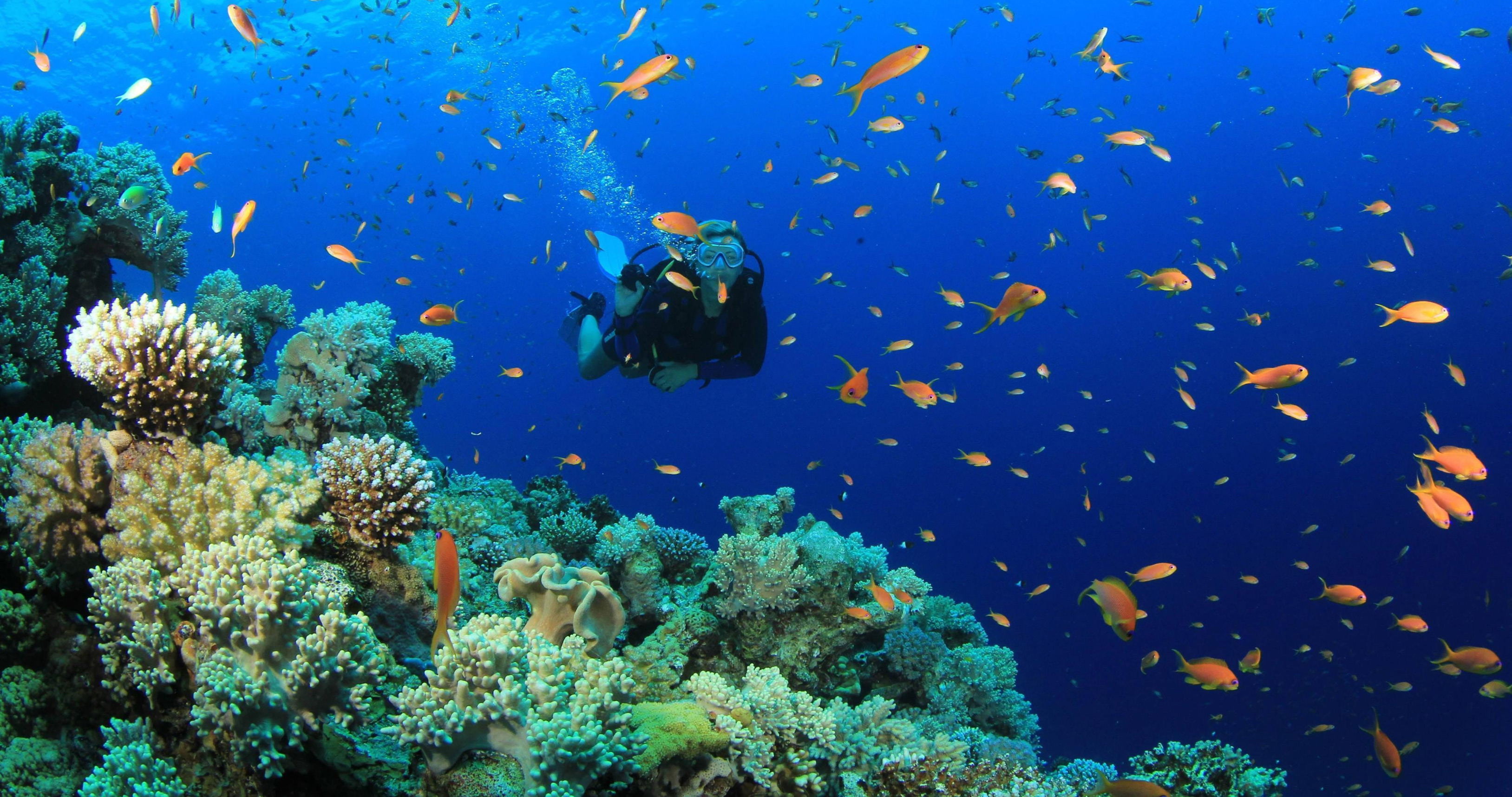Sharm Elshiekh