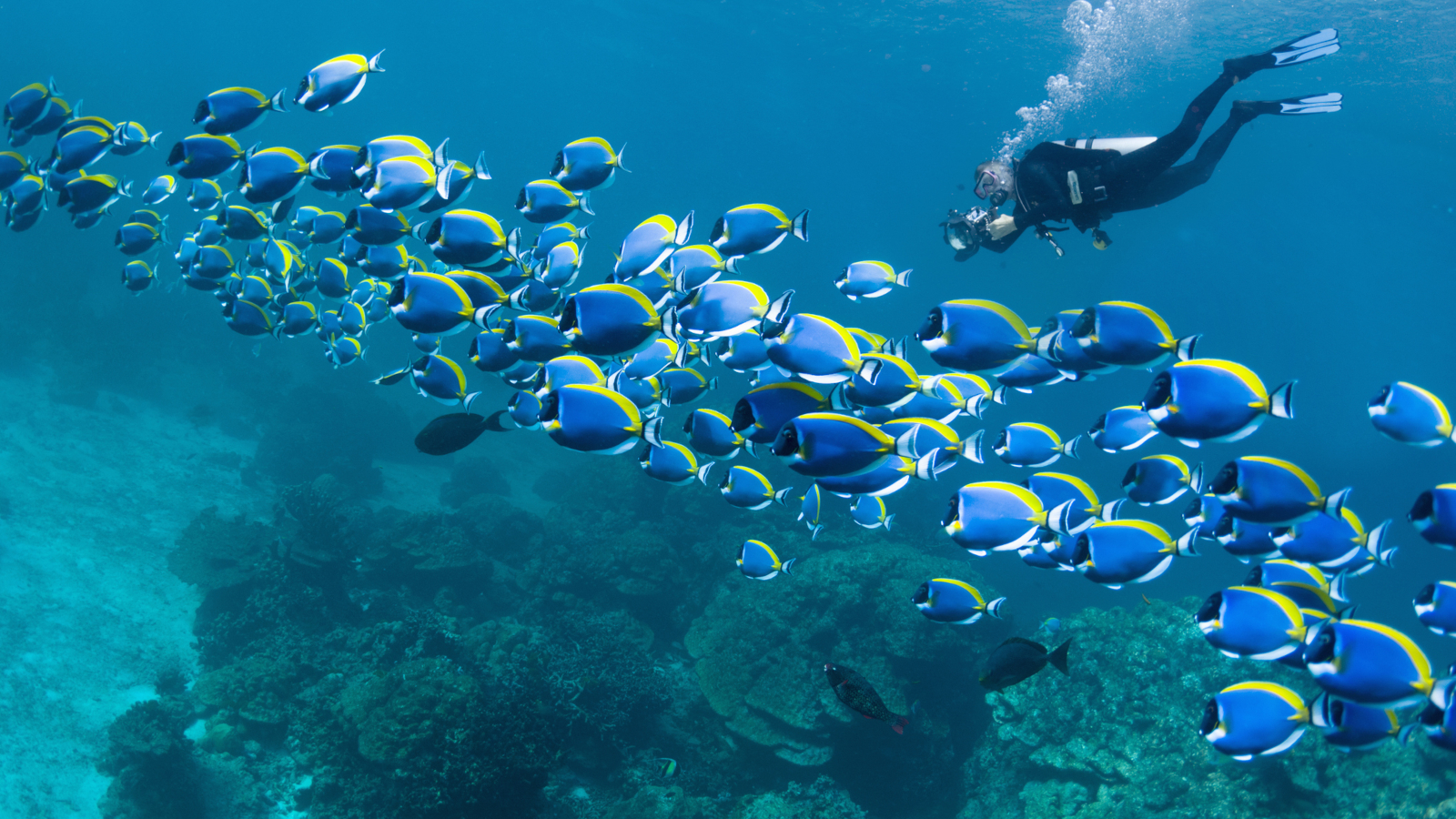 Hurghada