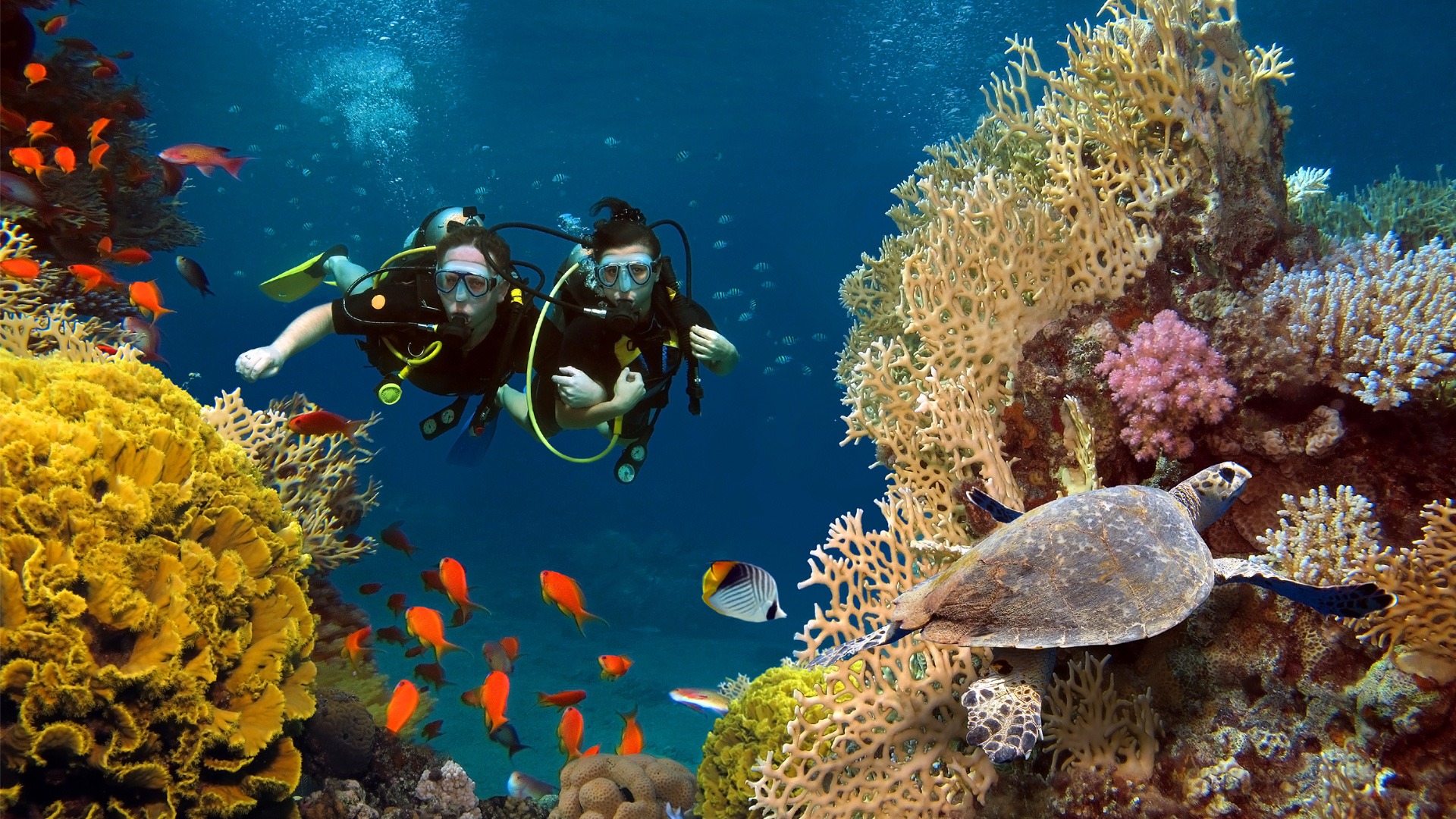Marsa Alam